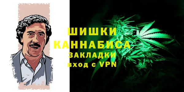 бошки Алексин