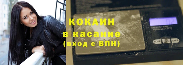 индика Абаза