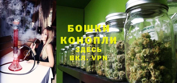 бошки Алексин