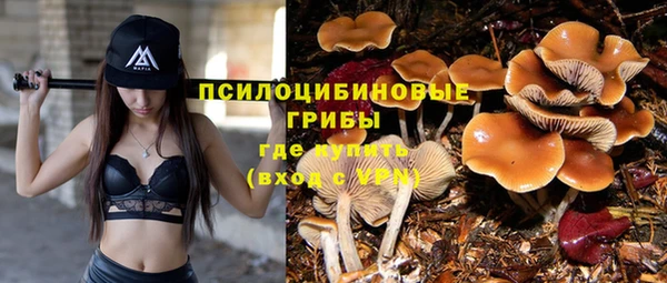 мет Алзамай