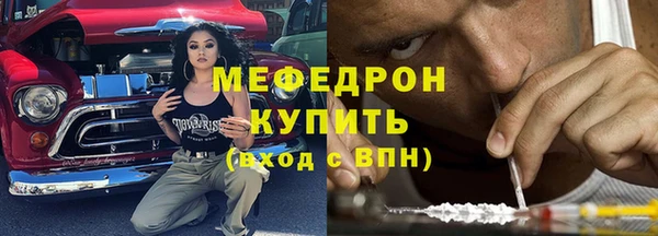 индика Абаза