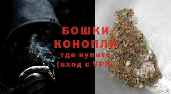 бошки Алексин