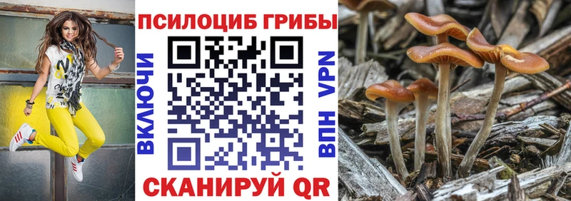 наркошоп  Прохладный  blacksprut вход  дарк нет как зайти  Галлюциногенные грибы Cubensis 