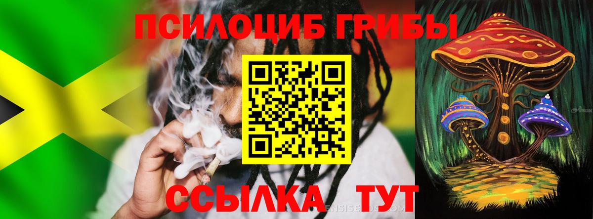 Псилоцибиновые грибы прущие грибы  магазин    Прохладный  Вход с VPN 